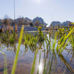 Voucher ΔΥΠΑ: Πώς θα λάβετε 750 ευρώ για εξ’ αποστάσεως κατάρτιση