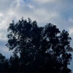 Τραγωδία στη Λήμνο: Πώς έπεσε ο 20χρονος με τη μηχανή του στον γκρεμό