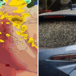 Ξεκινά την Τετάρτη η πανελλαδική απεργία στις λαϊκές αγορές – Τα αιτήματα των παραγωγών