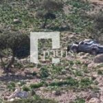 Άργος: Σκηνές «Φάρ – Ουέστ»! Άνοιξαν πυρ για έναν αρραβώνα [βίντεο – ντοκουμέντο]