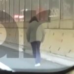 Ευλογιά αιγοπροβάτων: Επιστρατεύονται στρατιωτικοί κτηνίατροι για την αντιμετώπιση της νόσου