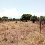 Alpha Asset Management Α.Ε.Δ.Α.Κ.: Αλμα 25% στα υπό διαχείριση κεφάλαια το 2025