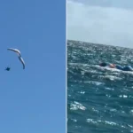 Ο Τραμπ ισχυρίζεται ότι οι δολοφονίες διαδηλωτών στο Ιράν «έχουν σταματήσει»