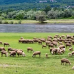 Καταβλήθηκε η πρώτη δόση του επιδόματος θέρμανσης – Πάνω από 1,1 εκατ. δικαιούχοι