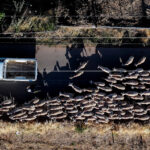 Καιρός: «Μαλακώνει» η ατμόσφαιρα σήμερα και αύριο – Ανάσα ζεστασιάς πριν την ψυχρή εισβολή – Η πρόγνωση του Μαρουσάκη