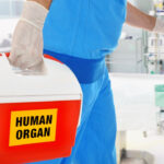 Θεμιστοκλέους: Δεν χρειάζεται πανικός για τη γρίπη – Έχουμε Tamiflu Newsroom