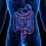 Γεγονός η πρώτη μηχανή συντήρησης μοσχευμάτων στην Ελλάδα Newsroom