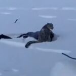 Βενεζουέλα: Η Ροντρίγκες προβλέπει αύξηση των επενδύσεων στον τομέα του πετρελαίου κατά 55% το 2026