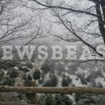 Απεργία αύριο στα ταξί για 48 ώρες: Πότε ξεκινά, τι ζητούν οι οδηγοί και πώς θα κινηθούν οι επιβάτες