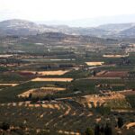 Φορολογικές δηλώσεις 2026: Στις 16 Μαρτίου ανοίγει η πλατφόρμα για την υποβολή τους – Αντίστροφη μέτρηση για τις ανακοινώσεις