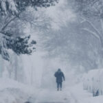 Περού: Μικρό σκυλάκι ο μοναδικός επιζών από τη συντριβή στρατιωτικού ελικοπτέρου με 15 νεκρούς