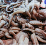 Επίδομα «μετακόμισης»: Οδηγός με όλες τις τελευταίες πληροφορίες για τους δικαιούχους και τα ποσά