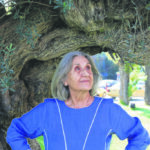 Κρατικά Λογοτεχνικά Βραβεία 2025: Ανακοινώθηκαν οι υποψήφιοι – Αναλυτικά οι βραχείες λίστες