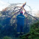 Νέα εξέλιξη στην υπόθεση της διπλής δολοφονίας στην Φοινικούντα: Η αδελφή του 68χρονου ζητά να κηρυχθεί ανάξιος κληρονόμος ο ανιψιός