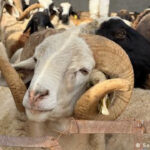 Καρκίνος του δέρματος: Τι συμπτώματα έχει η ασθένεια από την οποία έπασχε ο Αντώνης Λουδάρος Αναστασία Σταματιάδου