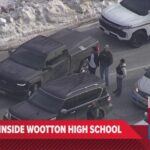 28χρονη στο Βέλγιο κατάπιε κουτάλι 17 εκατοστών όταν ο σκύλος της πήδηξε πάνω της [βίντεο]