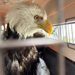 Κρεμλίνο: Μετά την «αξιολόγηση» της Γενεύης η απόφαση για τον επόμενο γύρο συνομιλιών