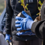 Φυλακές Δομοκού: Αναπαράσταση του φονικού ζήτησε ο δικηγόρος του δράστη – Αρνήθηκε ο Αρχιφύλακας την εμπλοκή του