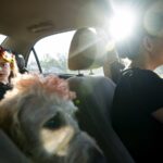 Τραγωδία με πέντε νεκρούς ανοιχτά των Καλών Λιμένων Κρήτης – Έρευνες για τους τουλάχιστον 20 αγνοούμενους μετανάστες