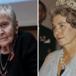 Βιολάντα: «Έκανα ό,τι προέβλεπε ο νόμος» – Τι υποστήριξε ο ιδιοκτήτης της εταιρίας στον ανακριτή Τρικάλων