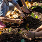 Σέρρες: Προφυλακιστέος ο 56χρονος που κατηγορείται για τον βιασμό της 78χρονης θείας του