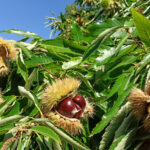 Νέα στοιχεία για τη μικρή που έπεσε στο σιντριβάνι στην Καλλιθέα: Πώς χάθηκαν πολύτιμα λεπτά μέχρι να την εντοπίσουν