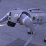 ΑΕΚ – Ολυμπιακός: Η τιμωρία στον Ποντένσε από τη ΔΕΑΒ για την ομπρέλα