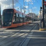 Ευχάριστα νέα για την μεσογειακή φώκια: Επισημάνθηκαν 21 νεογέννητα, αριθμός-ρεκόρ, στο Εθνικό Πάρκο Σποράδων