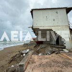 Εντυπωσιακές εικόνες άγριας φύσης στο Δέλτα του Έβρου με άλογα να διασχίζουν τον ποταμό