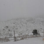 Κλοπές 320 εκατ. ευρώ από τα ράφια των σούπερ μάρκετ