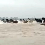 Σαρώνει η κακοκαιρία: Ανεμοστρόβιλος ξερίζωσε στέγαστρα και έσπασε τζαμαρίες στην Ηλεία – Κατολισθήσεις στην Πρέβεζα