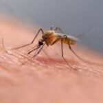 Η ατμοσφαιρική ρύπανση αυξάνει τον κίνδυνο εμφάνισης Αλτσχάιμερ Irini D