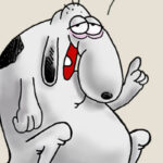 Νότια Καρολίνα: Η επιδημία ιλαράς είναι πρόβλημα για όλους, όχι μόνο τοπικό Newsroom