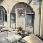 Νέος πρόεδρος του Συλλόγου Θυμάτων Τεμπών ο Παύλος Ασλανίδης: Δεν ψήφισε η Μαρία Καρυστιανού