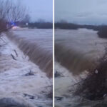 Καρυστιανού για Χίο: Το κράτος δεν πράττει για την αποτροπή των παράνομων εισβολών – Βαθύς πόνος για αυτούς που χάθηκαν