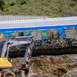 Τσικουνγκούνια: Τι είναι η επώδυνη τροπική ασθένεια που απειλεί και την Ελλάδα Irini D