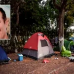 Πτώση δέντρων στη γραμμή του Οδοντωτού Σιδηροδρόμου Διακοπτού-Καλαβρύτων – Ποια δρομολόγια ματαιώνονται