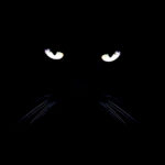 Ο Νετανιάχου έφτασε στον Λευκό Οίκο για τη συνάντηση με τον Τραμπ