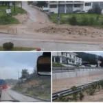 Εθελοντές-εργαζόμενοι της AEGEAN γιόρτασαν την αγάπη διαφορετικά, με δενδροφύτευση στον Υμηττό