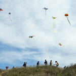 Καθαρά Δευτέρα με «φουσκωμένο» καλάθι: Ακριβότερα τα Σαρακοστιανά – Έως 43% πάνω το χταπόδι