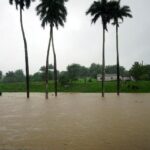 Η Κομισιόν ελέγχει το TikTok για εθιστικό σχεδιασμό που βλάπτει τα παιδιά