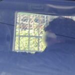 Τρεις Έλληνες Εβραίοι ανάμεσα στους 200 εκτελεσθέντες της Καισαριανής – Ο έμπορος, ο τσαγκάρης και ο «Προλετάριος»