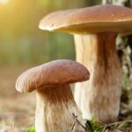 Τραγικός θάνατος για βασίλισσα ομορφιάς – 21χρονη καταπλακώθηκε μέχρι θανάτου από το ίδιο της το αυτοκίνητο