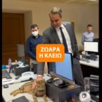 Κοντογεώργης στον Realfm 97,8 για Τουρκία: Έχουν γνώση οι φύλακες, δεν πορευόμαστε αφελώς και αμέριμνοι – Τι είπε για την τραγωδία στη Χίο και το Λιμενικό