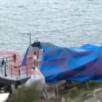 Ιάσονας Αποστολόπουλος σε Καρυστιανού για τους πνιγμένους μετανάστες στη Χίο: «Είναι αυτά τα παιδιά εισβολείς;»