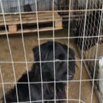 Χωρίς ταξί και σήμερα η Αθήνα – Απεργούν και στη Θεσσαλονίκη οι οδηγοί