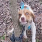 Η Αποστολή στηρίζει την ένταξη και την κοινωνική συνοχή με το πρόγραμμα ενίσχυσης επιχειρηματικότητας μεταναστών στην Αθήνα