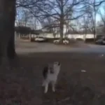 Σαουδική Αραβία: Ο πρίγκιπας Ουίλιαμ της Βρετανίας επισκέφθηκε την όαση Αλ Ούλα