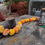 Έκρηξη σε παράνομο ανθρακωρυχείο στην Ινδία – Τουλάχιστον 16 νεκροί και πολλοί αγνοούμενοι [βίντεο]