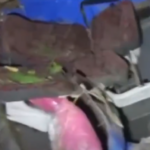 Ο Τραμπ υπέγραψε διάταγμα που περιλαμβάνει απειλή επιβολής δασμών σε βάρος χωρών που έχουν εμπορικές συναλλαγές με το Ιράν